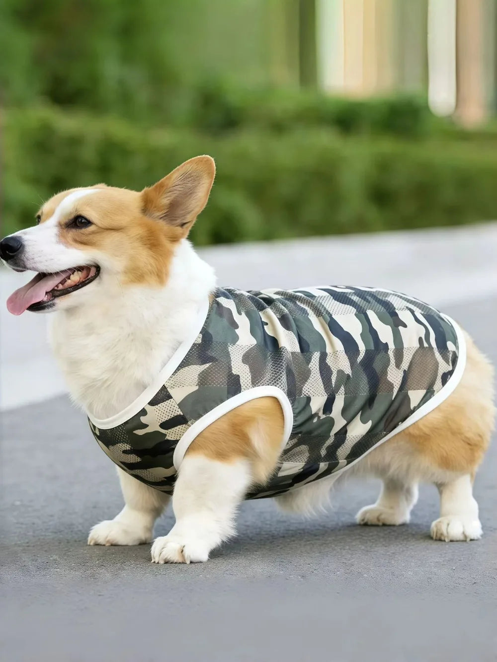 Breathable Mesh Cooling Vest for Dogs
