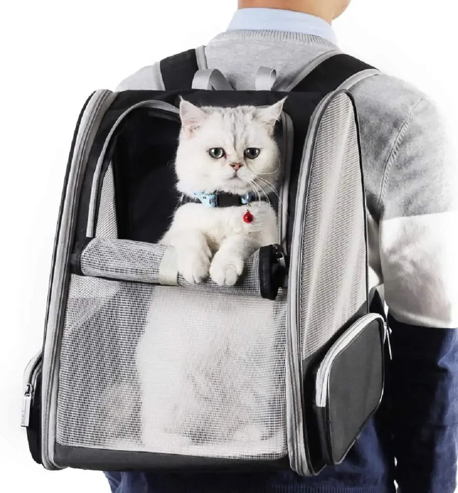 Breathable Foldable Pet Carrier Backpack — Portable Travel Bag for Cats & Puppies