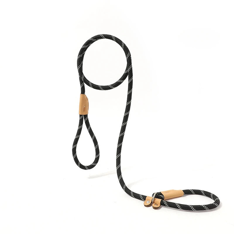 Ensemble laisse et harnais réglables en nylon pour chien