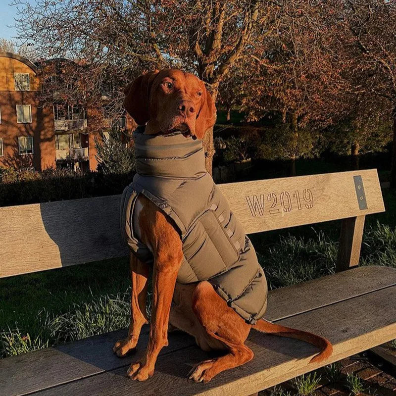 Windproof Winter Down Vest for Small Dogs