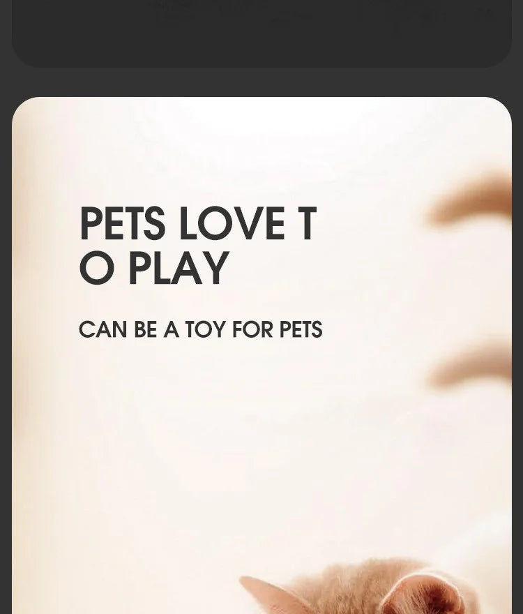 Interactive Slithering Snake Cat Toy