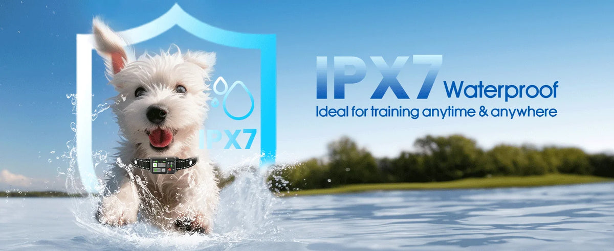 Outdoor GPS Dog Boundary Collar