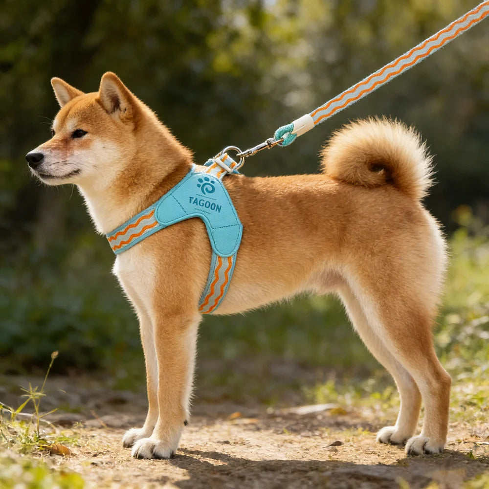 Dopamine Saddle Dog Harness with Leash Set for Small Dogs Comfortable Mesh Breathable Pet Harness for Schnauzer Shiba Inu Puppy
