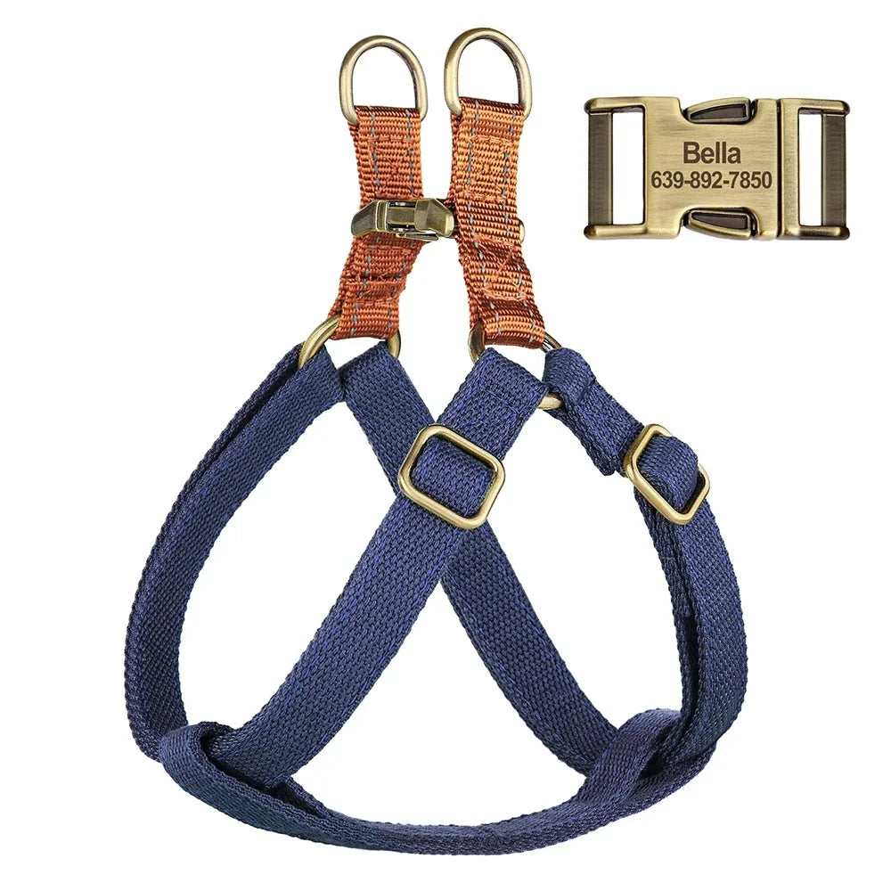 Ensemble harnais de dressage et collier personnalisé pour chien