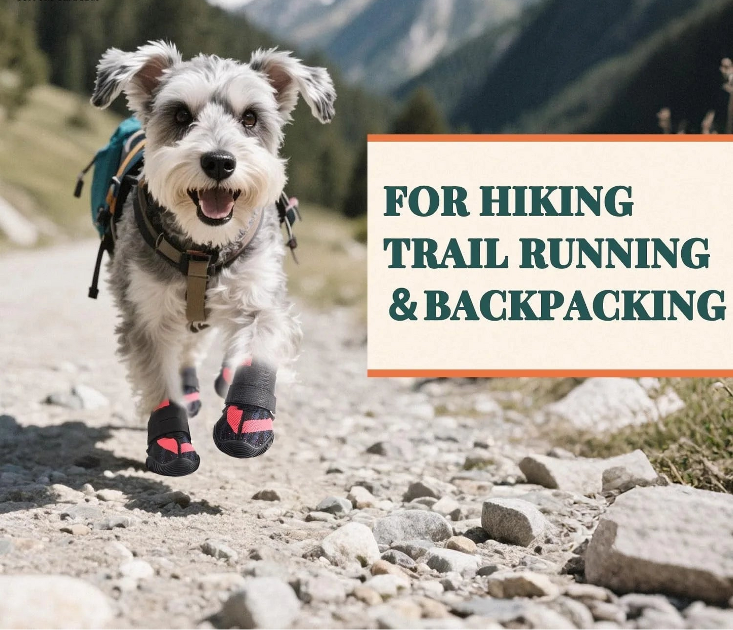 Summer Dog Boots for Hot Pavement Protection