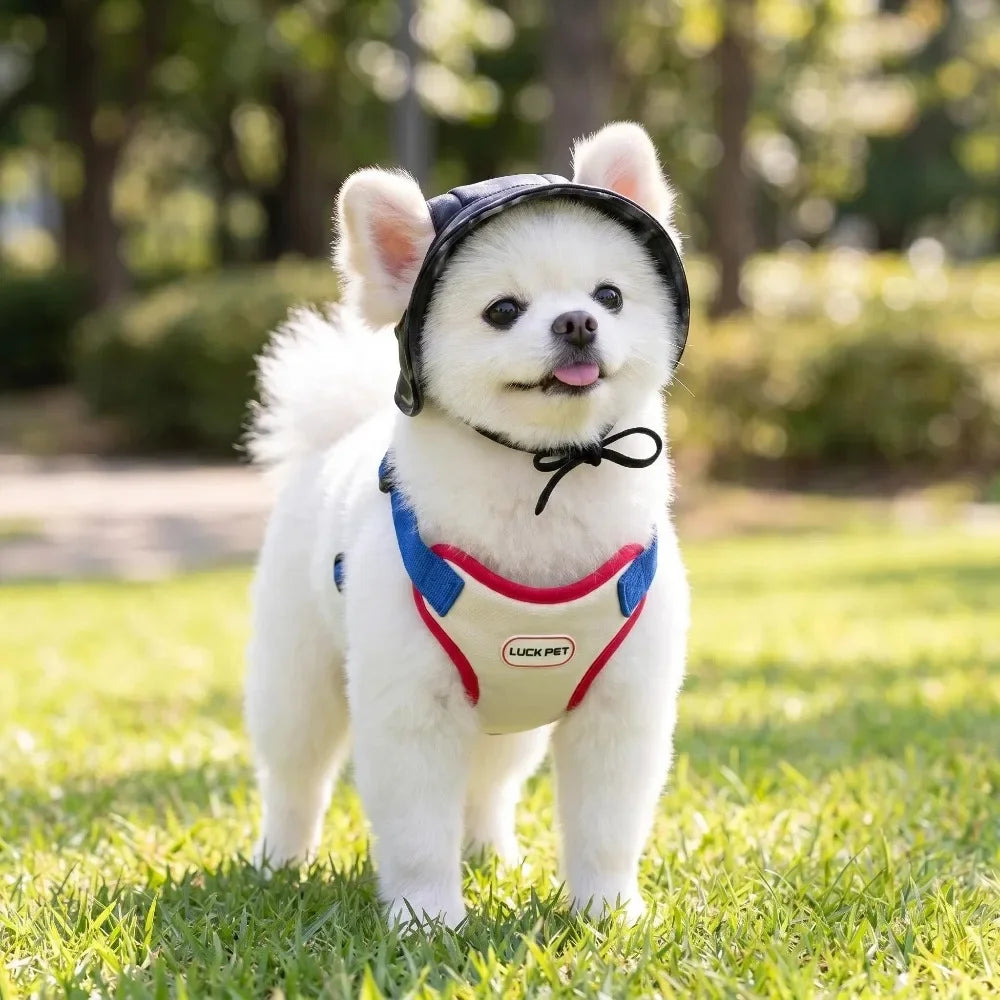 Anti-Escape Harness, Leash & Sun Hat Set for Small Dogs & Cats