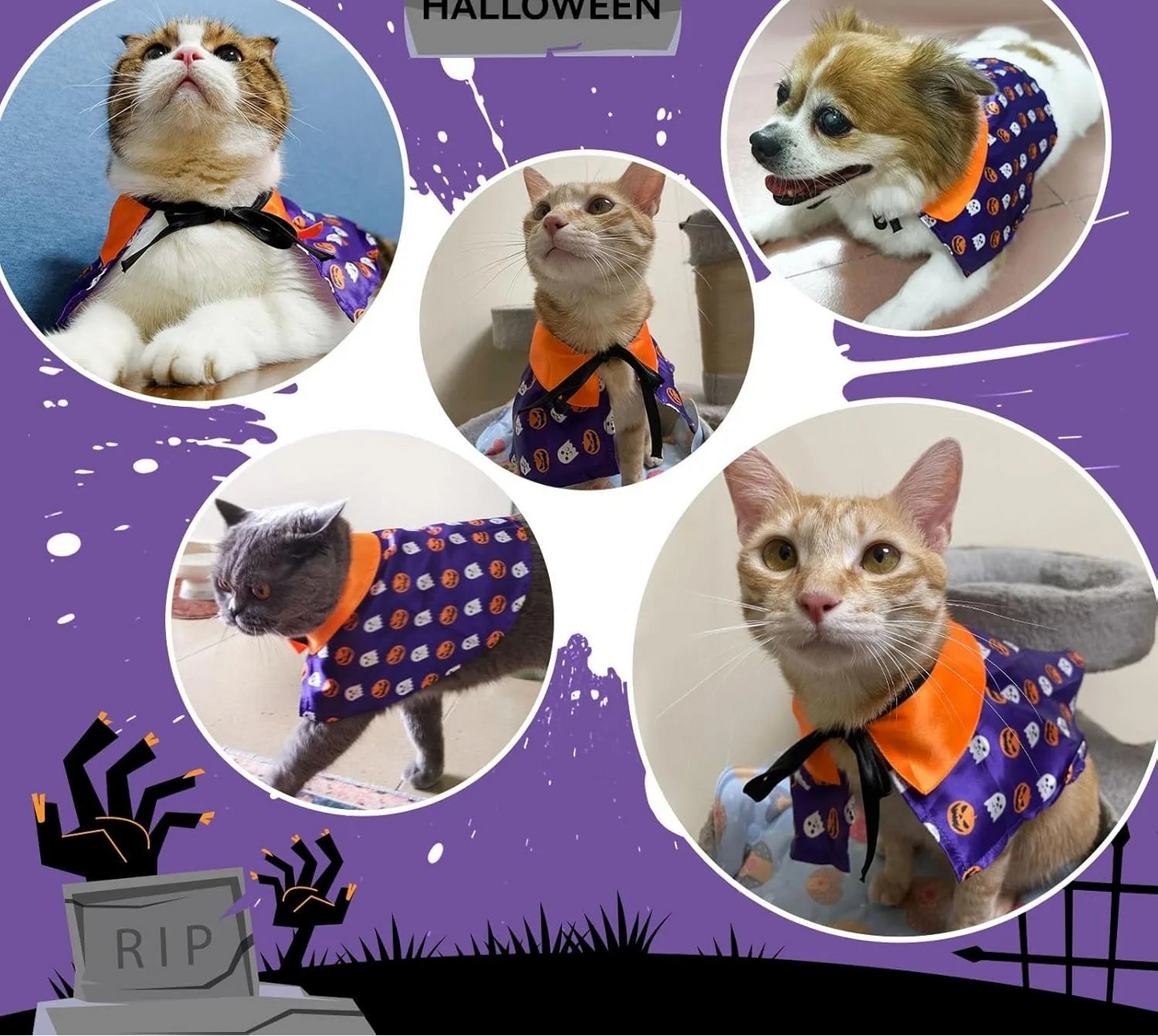 Déguisement d'Halloween pour Chat - Cape de Sorcier et Tenue de Sorcière pour Chats et Petits Chiens
