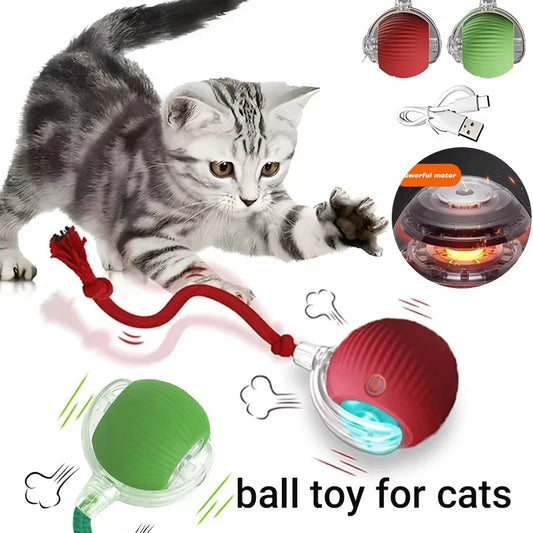 Interactive Self-Moving Cat Toy Ball