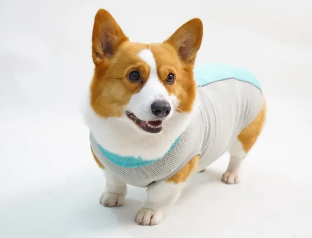 Ice Pack Cooling Vest for Small & Medium Dogs