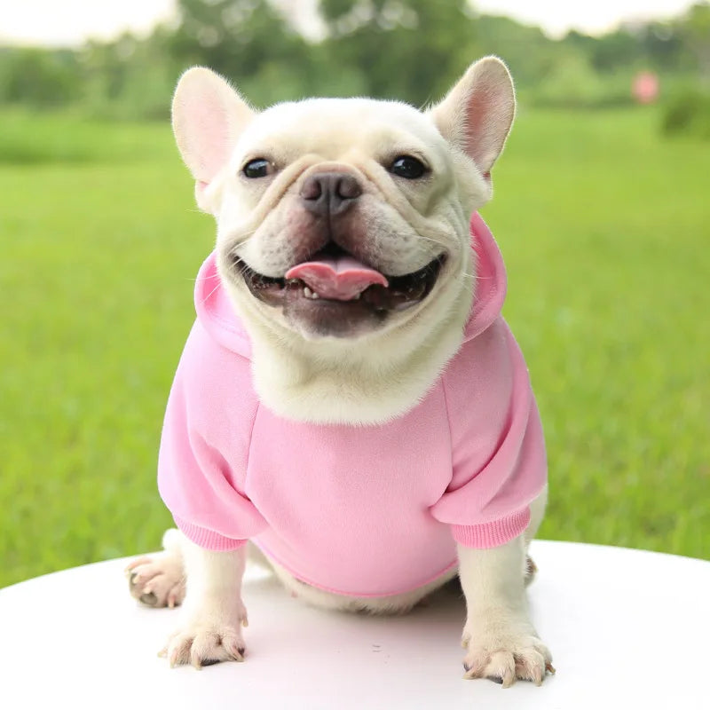 Manteau à capuche en polaire pour chien | Veste sweat chaude d'automne et d'hiver pour petits chiens et chats
