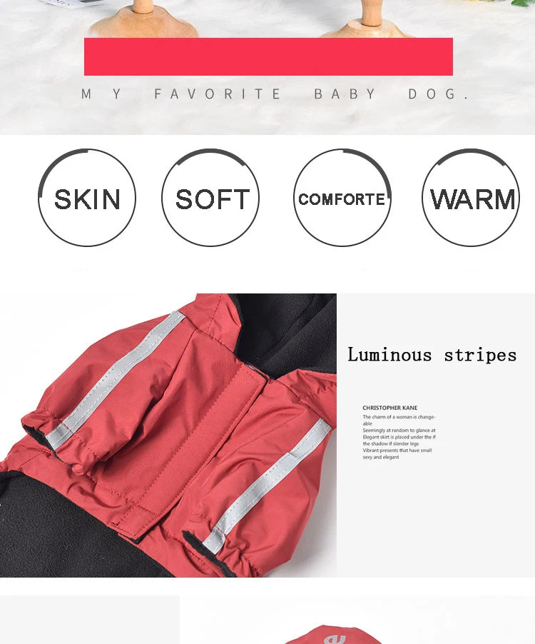 Manteau imperméable à capuche pour chien