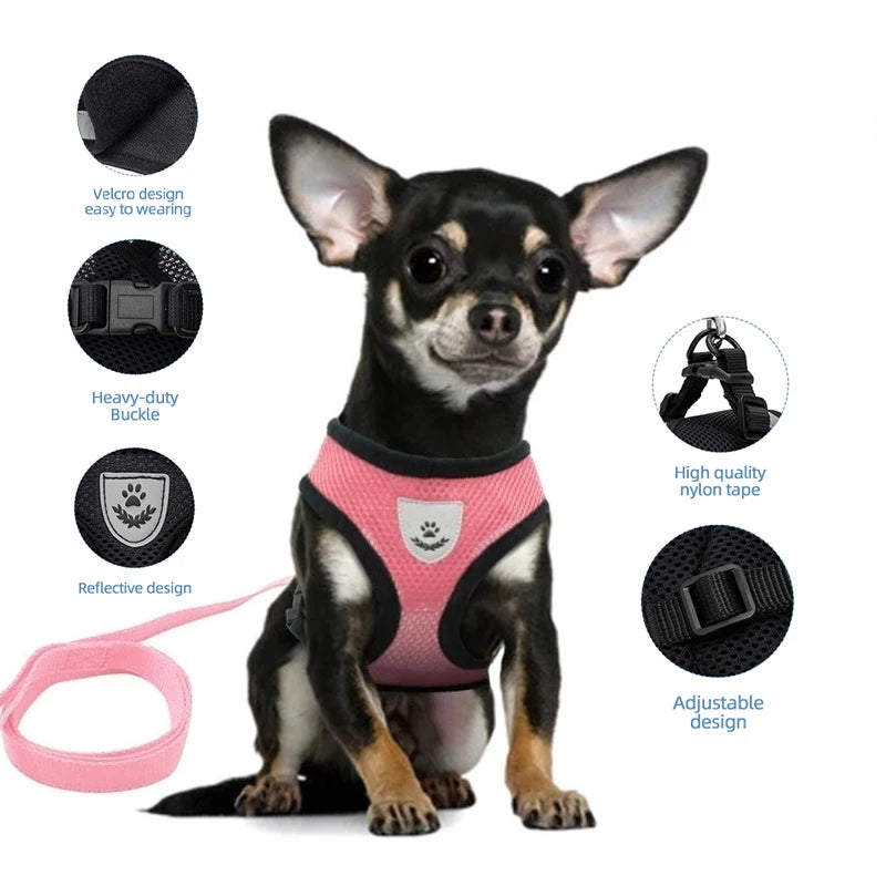 Breathable Mesh Vest Harness & Lead Set for Small to Medium Cats and Dogs