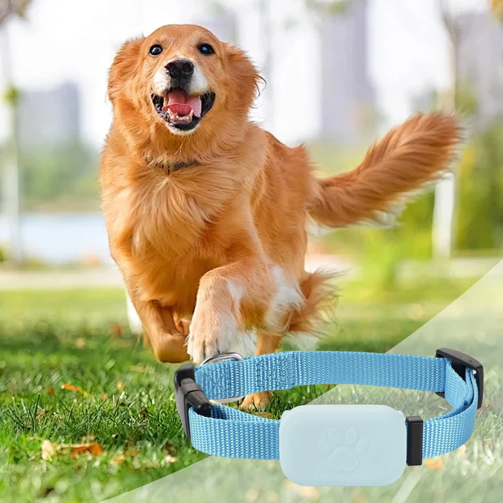 Wearable Pet Locator with Adjustable Silicone Collar for Dogs & Cats