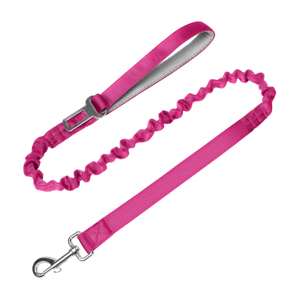 Heavy-Duty Bungee No-Pull Training Leash for Large Dogs