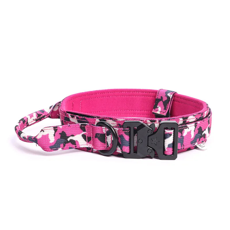 Durable Nylon Dog Collar & Leash Set for Large Dogs