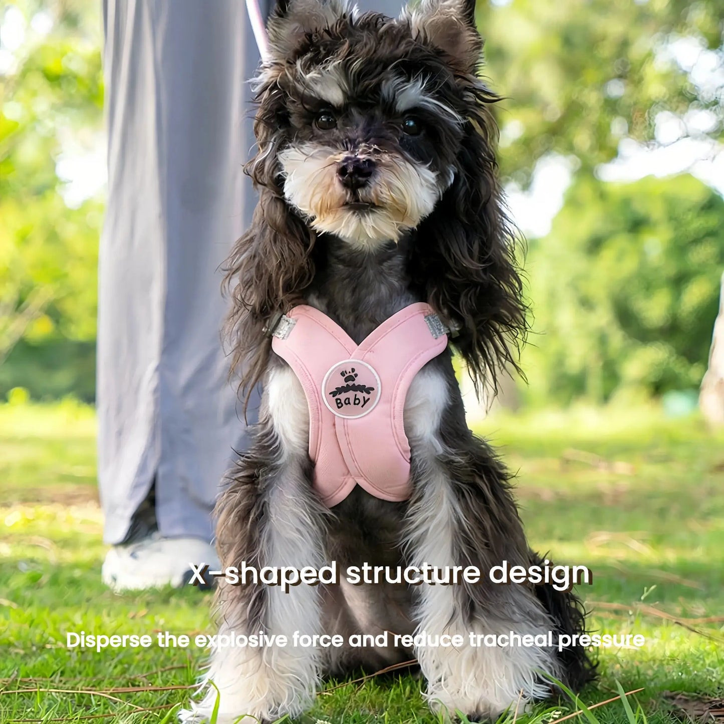 Harnais et laisse réfléchissants pour chien en forme de X | Gilet réglable à libération rapide pour petits et moyens chiens