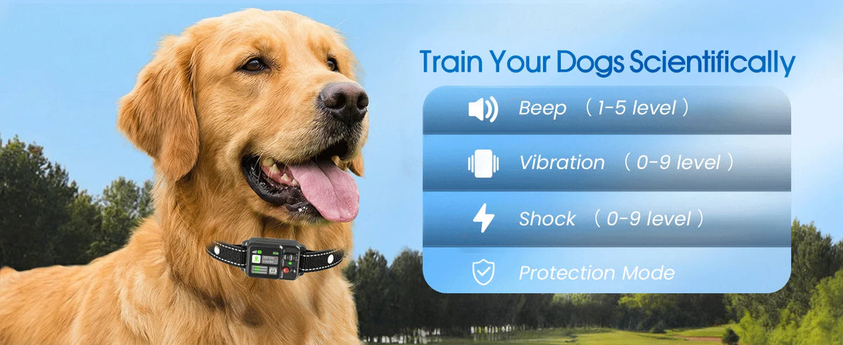 Outdoor GPS Dog Boundary Collar