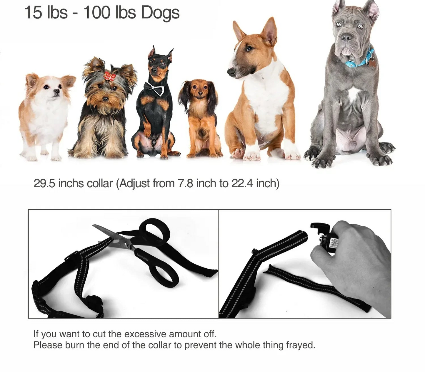 Rechargeable Dog Training Collar - IPX7 Waterproof with Remote for All Dog Sizes