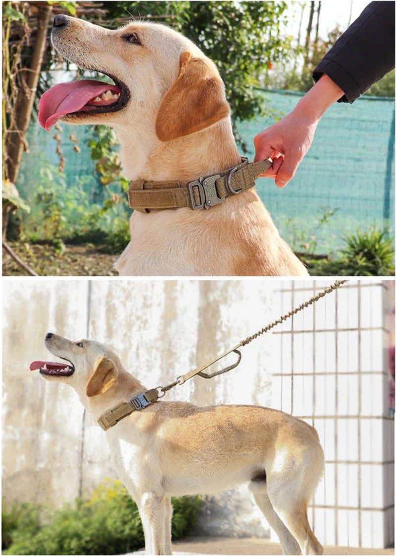 Durable Nylon Dog Collar & Leash Set for Large Dogs