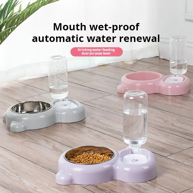 Set de gamelles doubles pour chat, distributeur d'eau automatique pour animaux de compagnie pour les garder hydratés et nourris