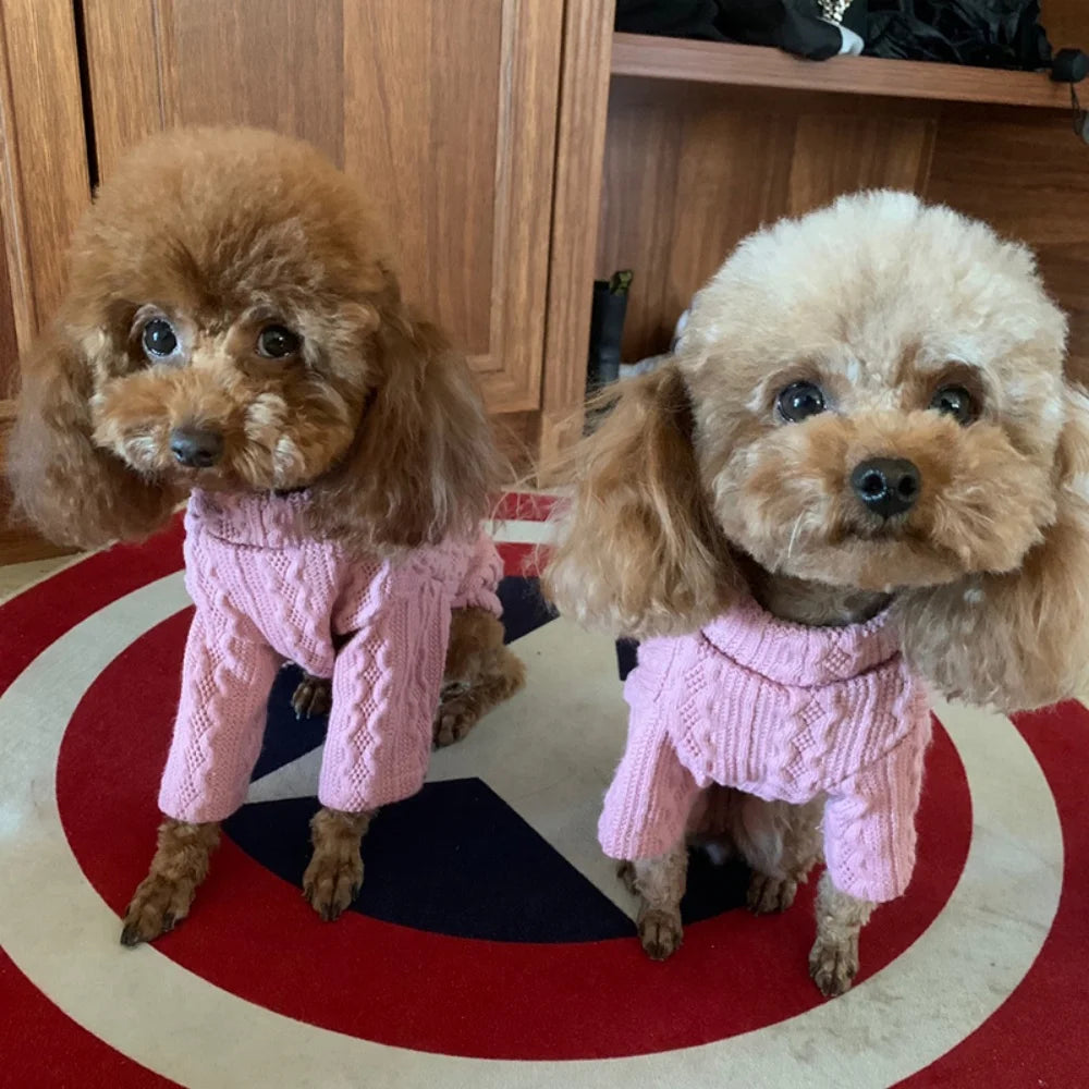 Long-Sleeve Knitted Pullover Sweater for Cats & Small Dogs