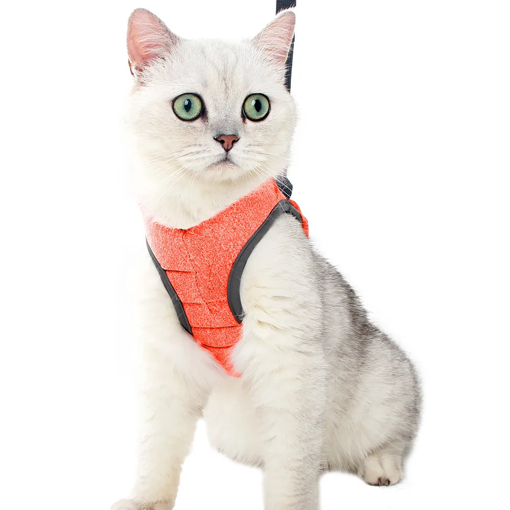 Anti-Escape Kitten Harness & Leash Set