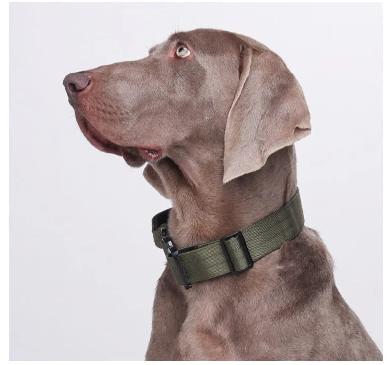 Harnais Tactique Réglable pour Grands Chiens