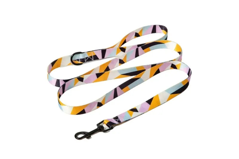 Bohemian Style Dog Collar & Leash Set – Adjustable for Small, Medium & Large Dogs
