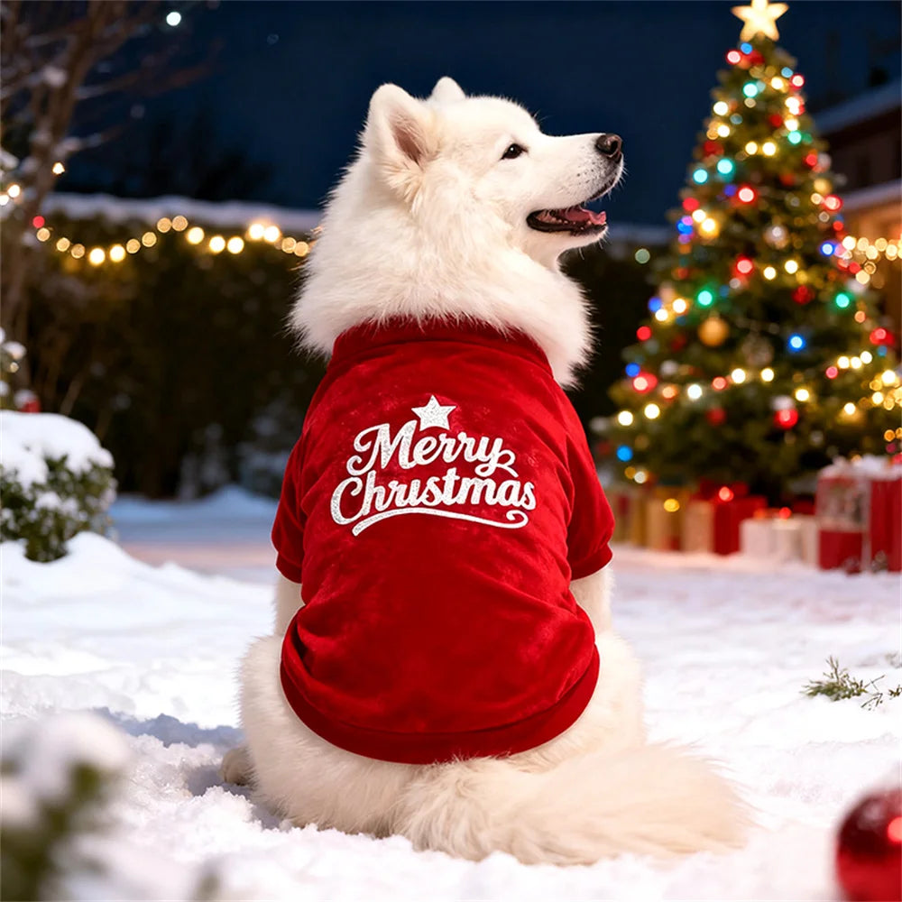 Christmas Dog Sweater