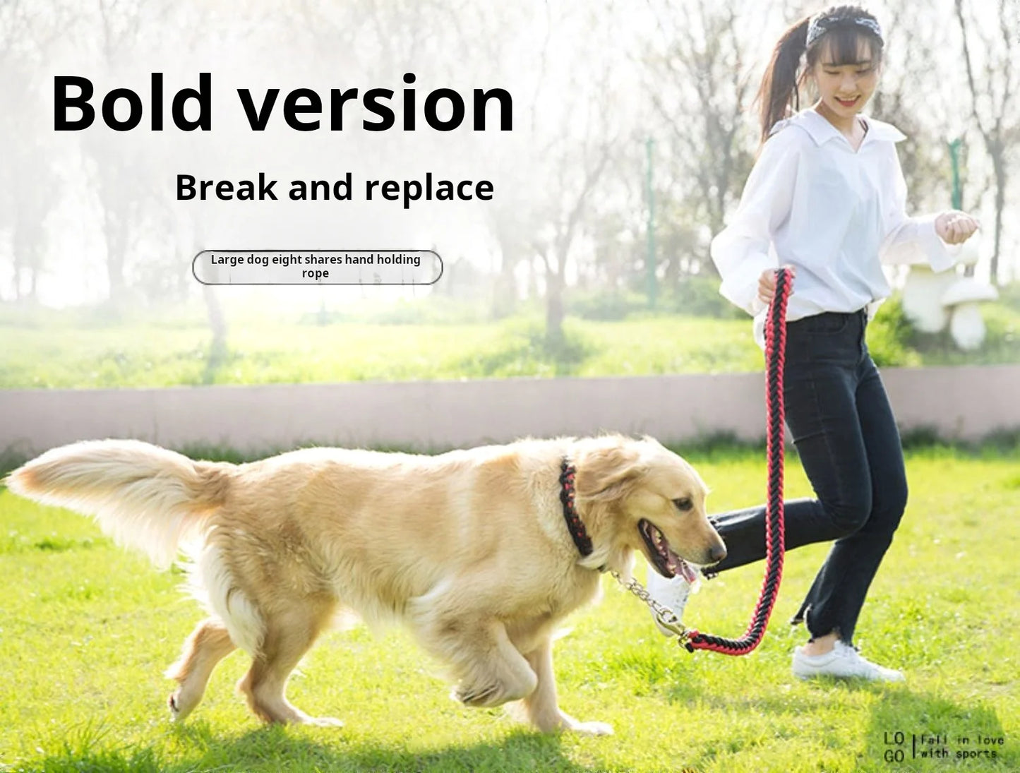 Laisse tressée de 1,5 m pour chien - Laisse d'entraînement durable pour des promenades confortables