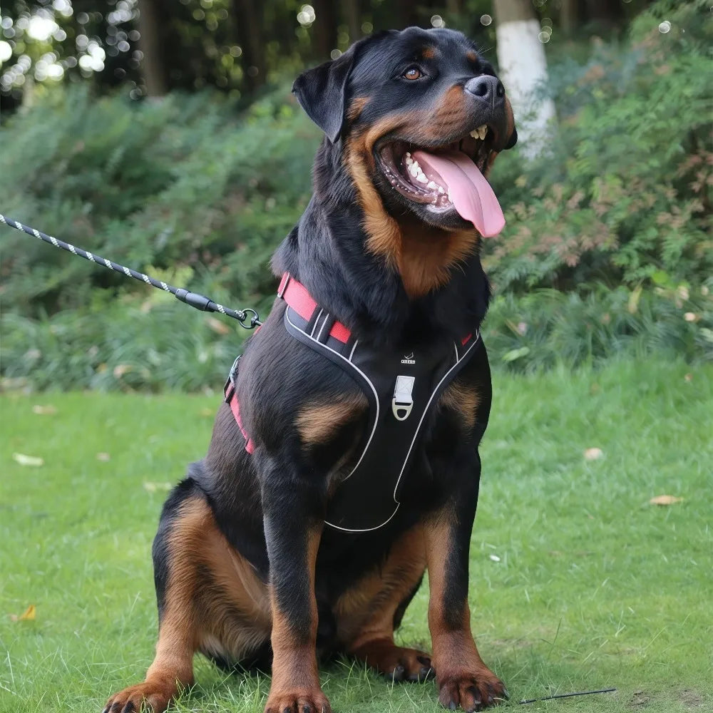 Reflective Tactical No-Pull Harness & Leash Set for Medium & Large Dogs