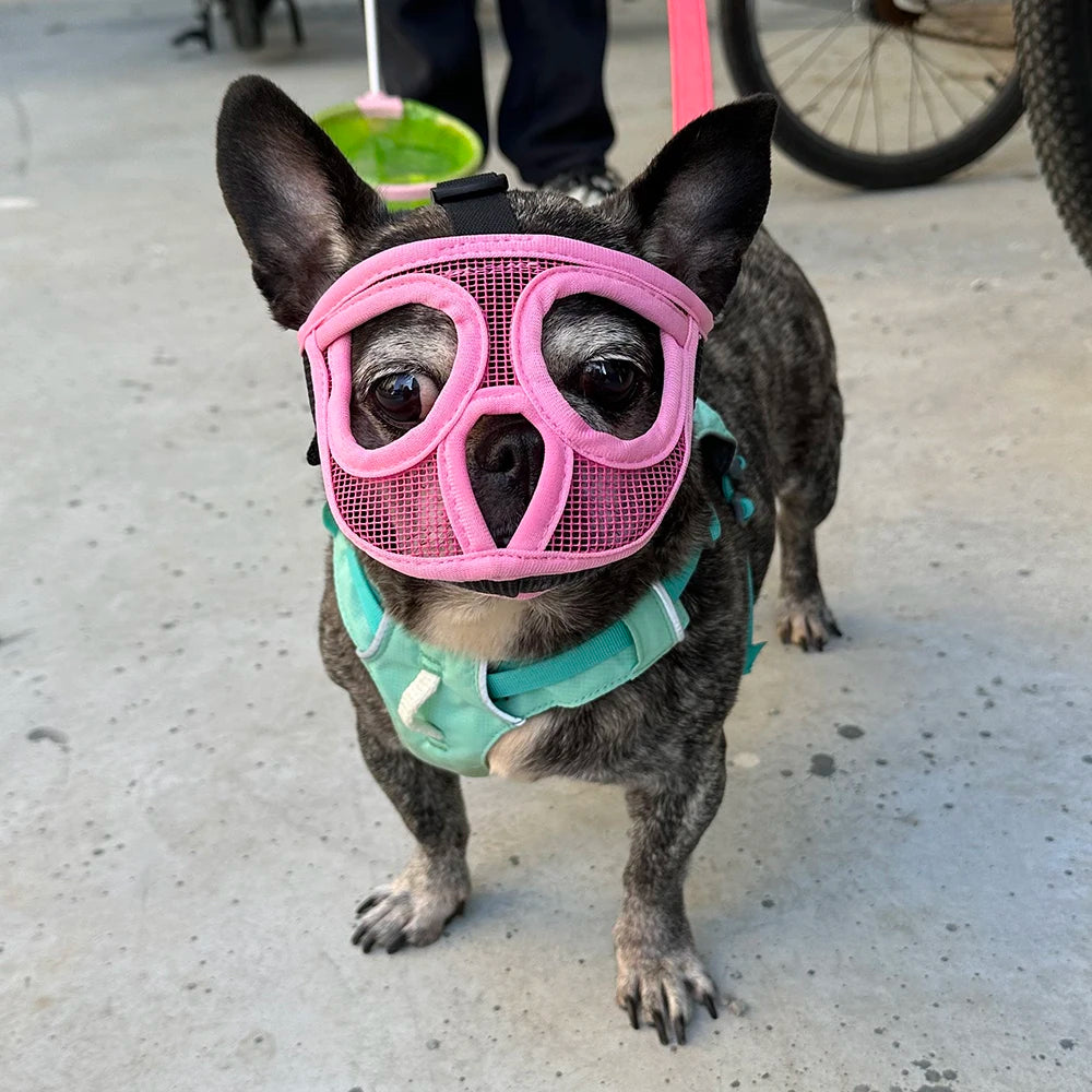Breathable Mesh Dog Muzzle | Anti-Bite & Anti-Ingestion
