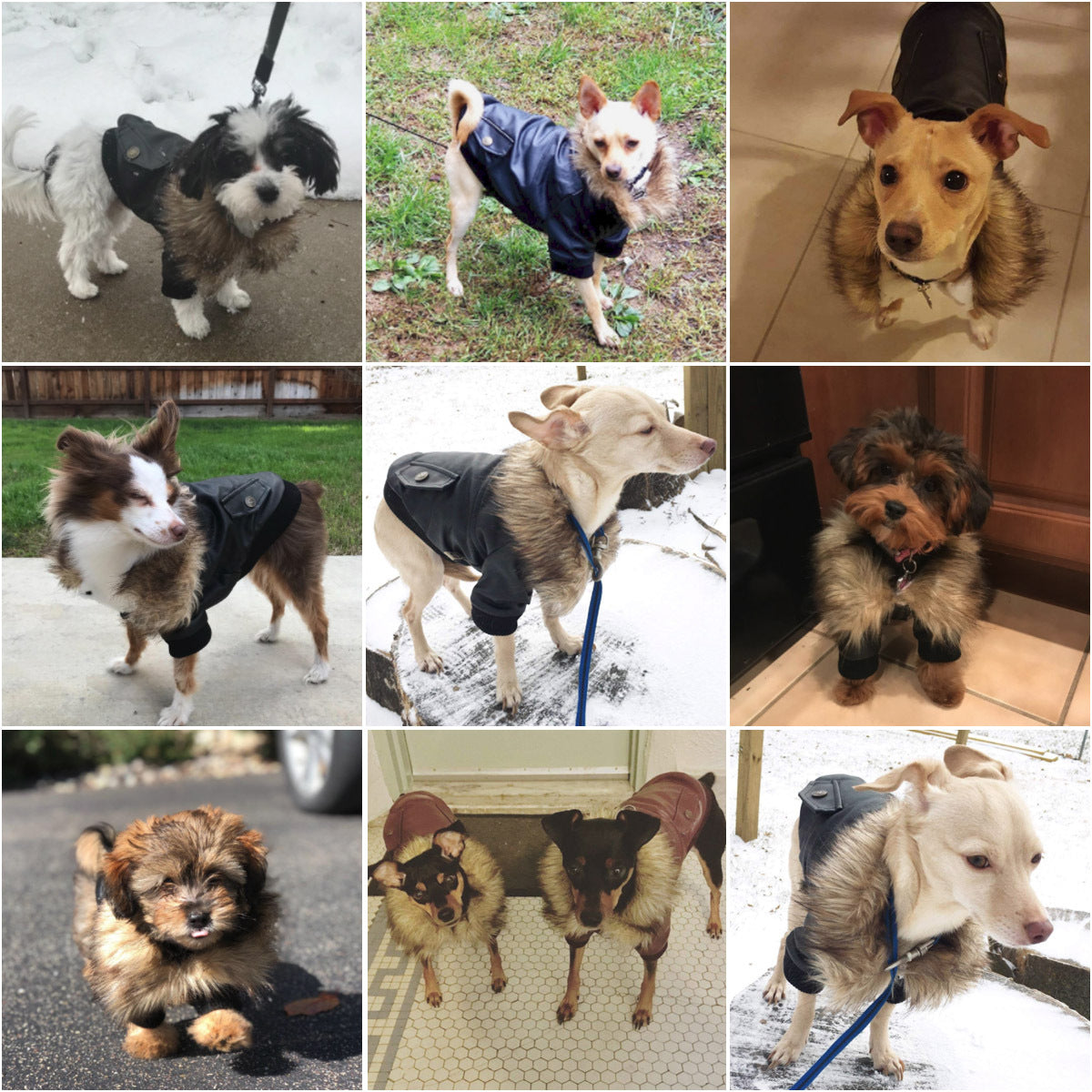 Waterproof Dog Winter Coat - Warm Jacket for Small to Medium Dogs