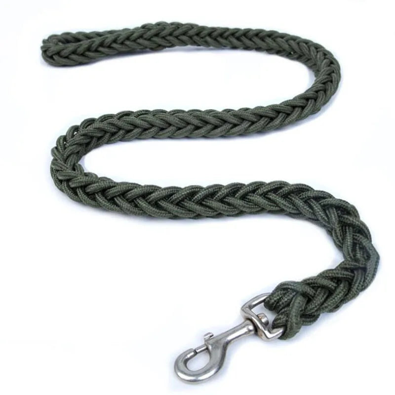 Laisse pour chien en nylon robuste (130 cm)