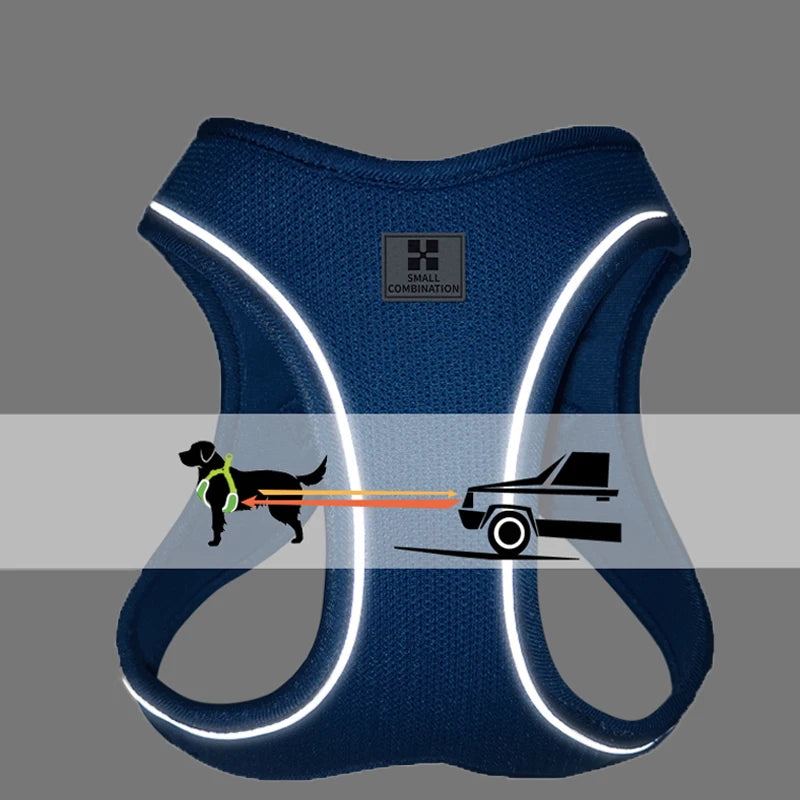 Reflective Dog & Cat Harness with Leash Set