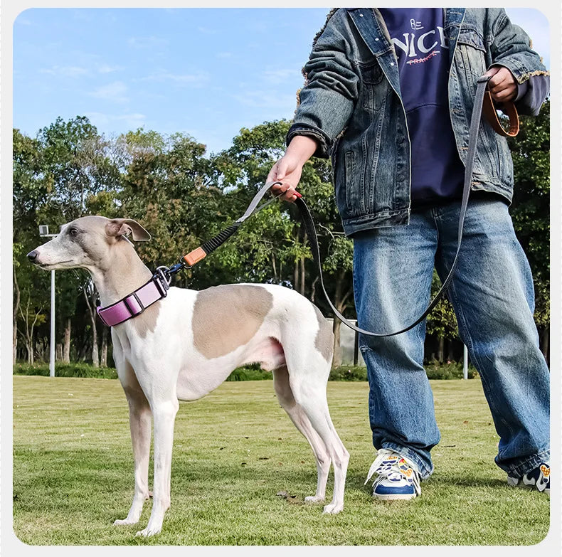 Heavy-Duty Tactical Bungee No-Pull Dog Leash for Large Dogs