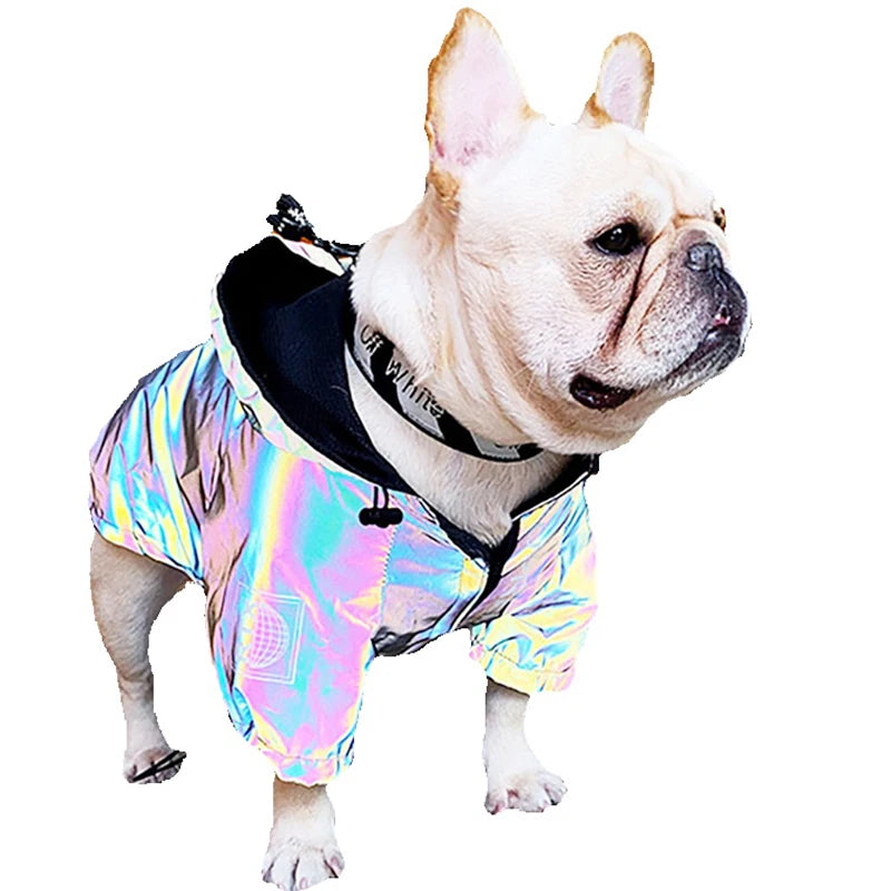 Waterproof Reflective Dog Jacket – Colourful Fashion Coat for All Sizes