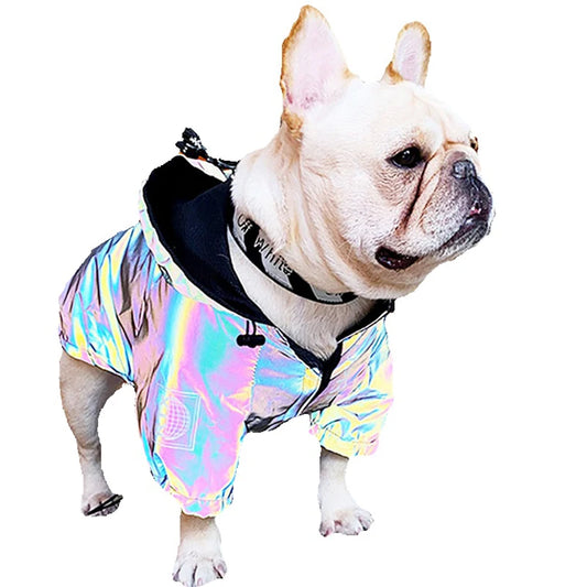 Waterproof Reflective Dog Jacket – Colourful Fashion Coat for All Sizes