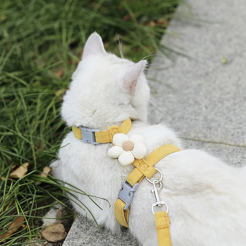 Breathable Adjustable Harness & Leash Set for Cats and Small Dogs