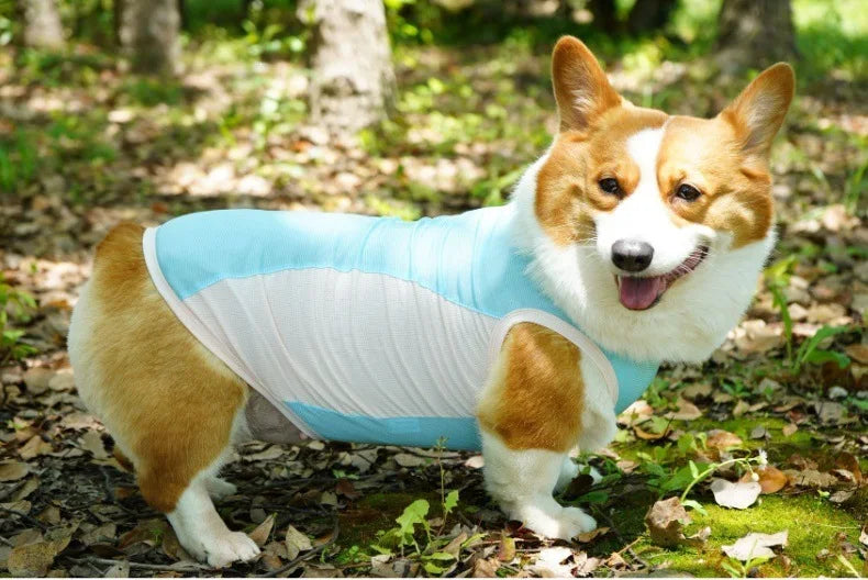 Ice Silk Cooling Vest with Sun Protection for Dogs & Cats