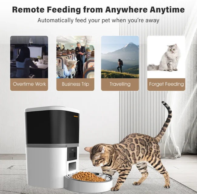 Double Meal Automatic Cat Feeder, Cat Feeder With Video, Tuya WIFI Automatic Dog Feeder, Programmable Pet Feeder, Multiple Model