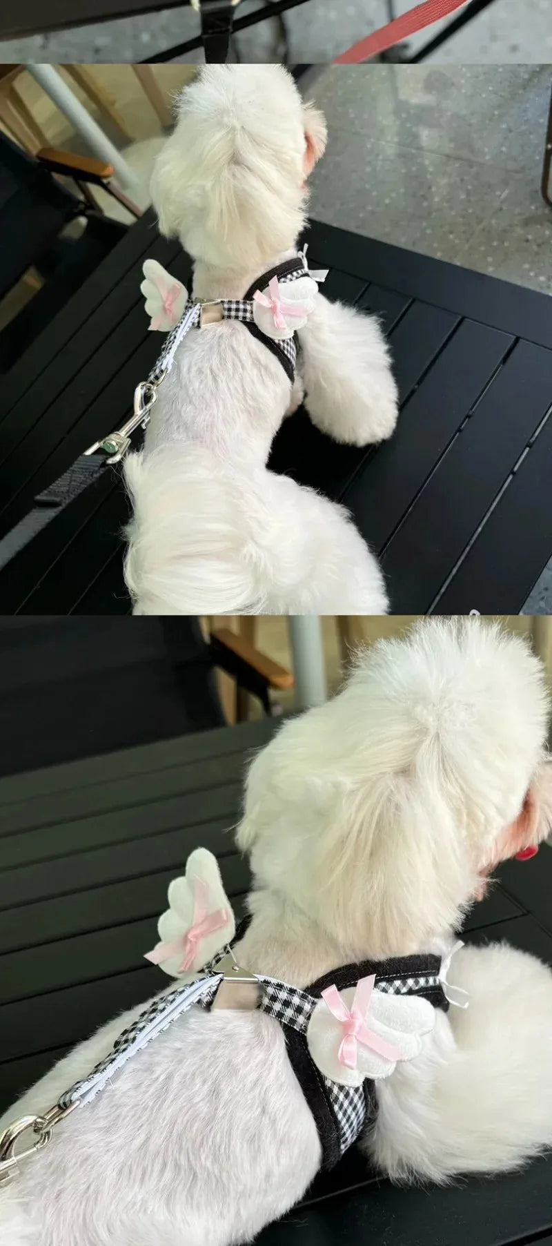 Ensemble harnais et collier en cuir de qualité supérieure pour chien