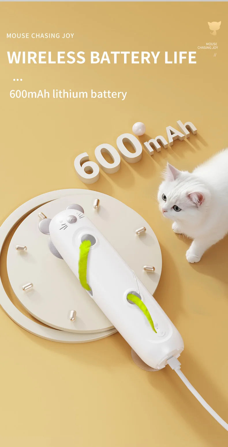 Interactive Caterpillar Cat Toy