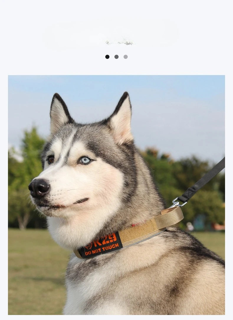 Collier d'entraînement tactique réfléchissant pour grands chiens