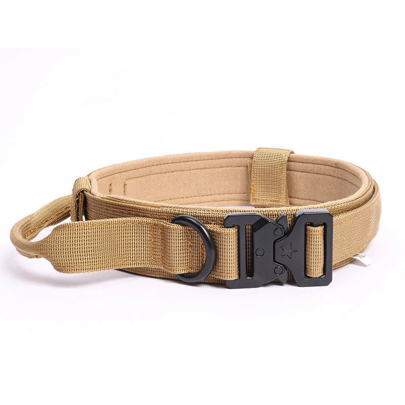 Durable Nylon Dog Collar & Leash Set for Large Dogs