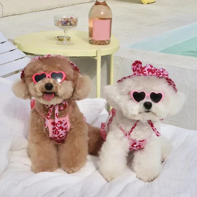 Dog Bikini & Swim Cap Set