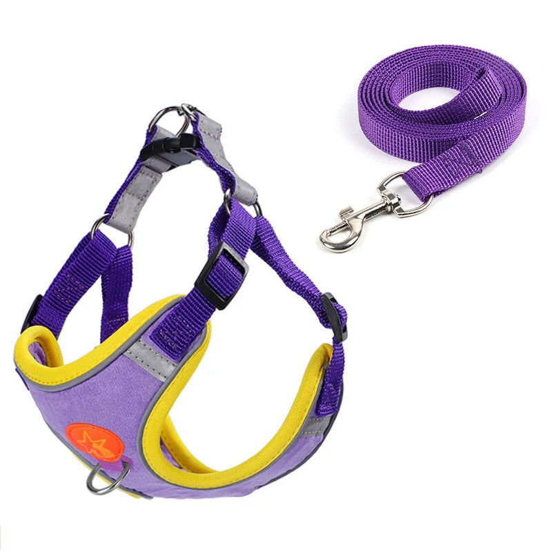 Reflective Soft Mesh Dog Harness with Dual Lead Hooks – No-Pull Vest for Small & Medium Dogs