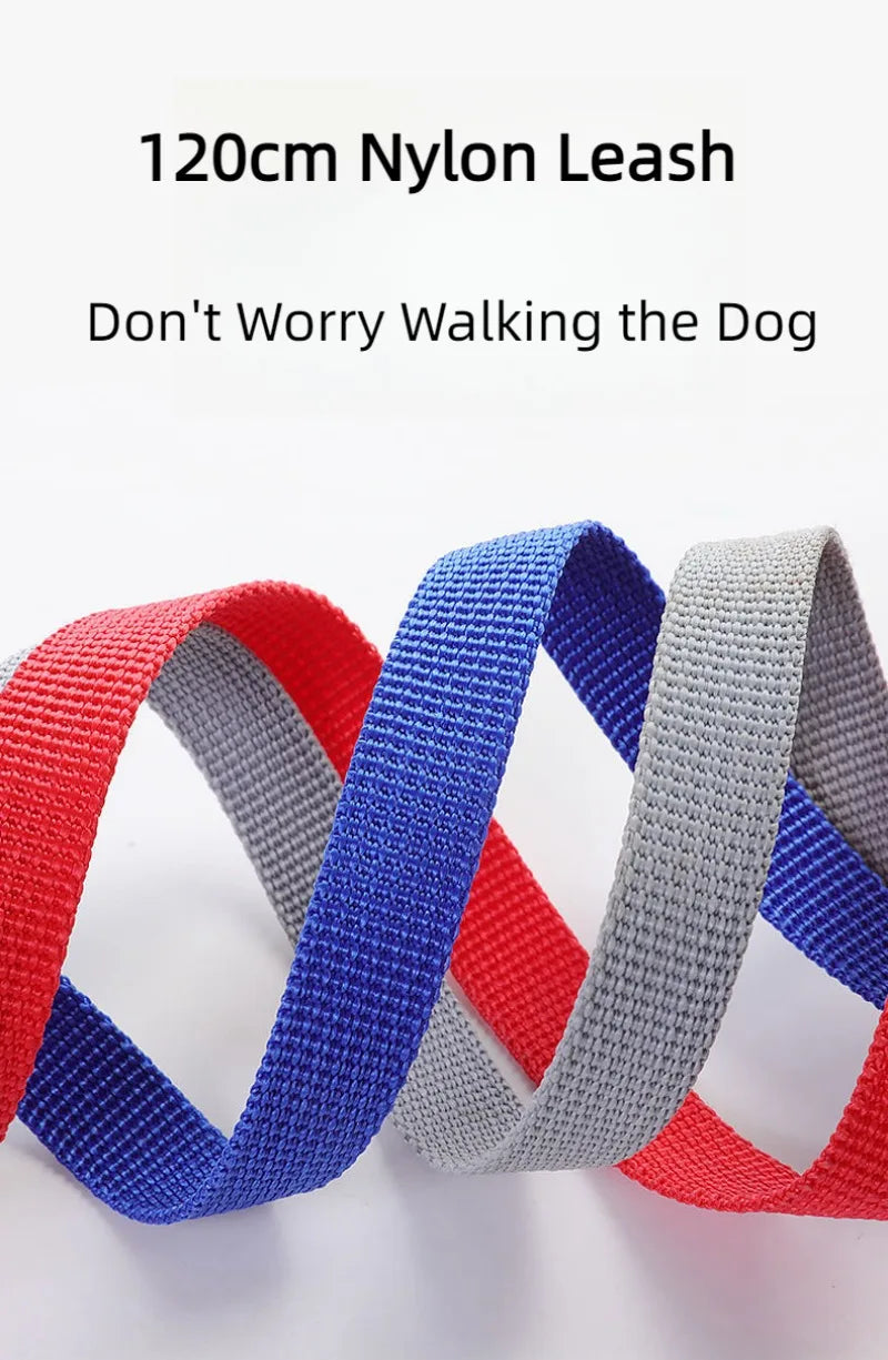 Harnais anti-évasion pour chat et chien avec laisse - Gilet en maille réglable pour la promenade