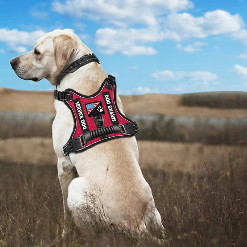 Dog Harness Set — Chest Vest, Shock-Absorbing Lead, Folding Bowl & Waste Bags
