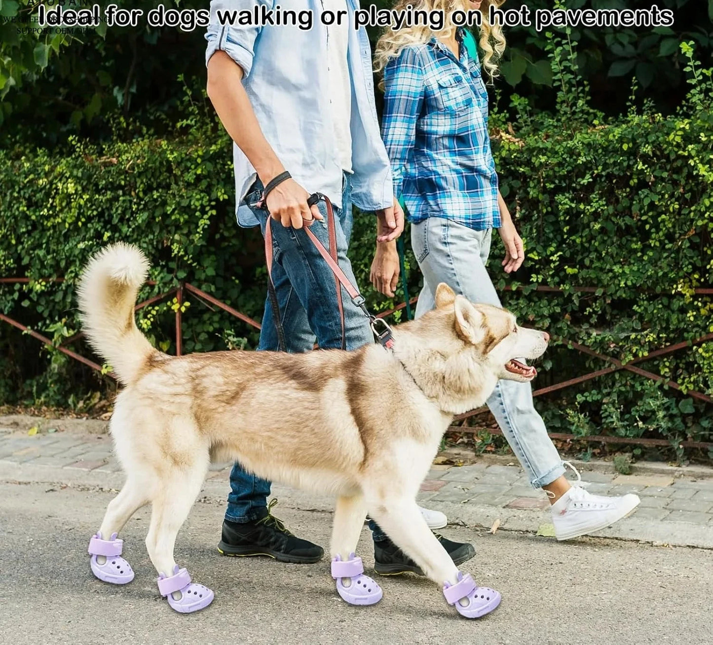 Chaussures pour chien pour trottoir chaud